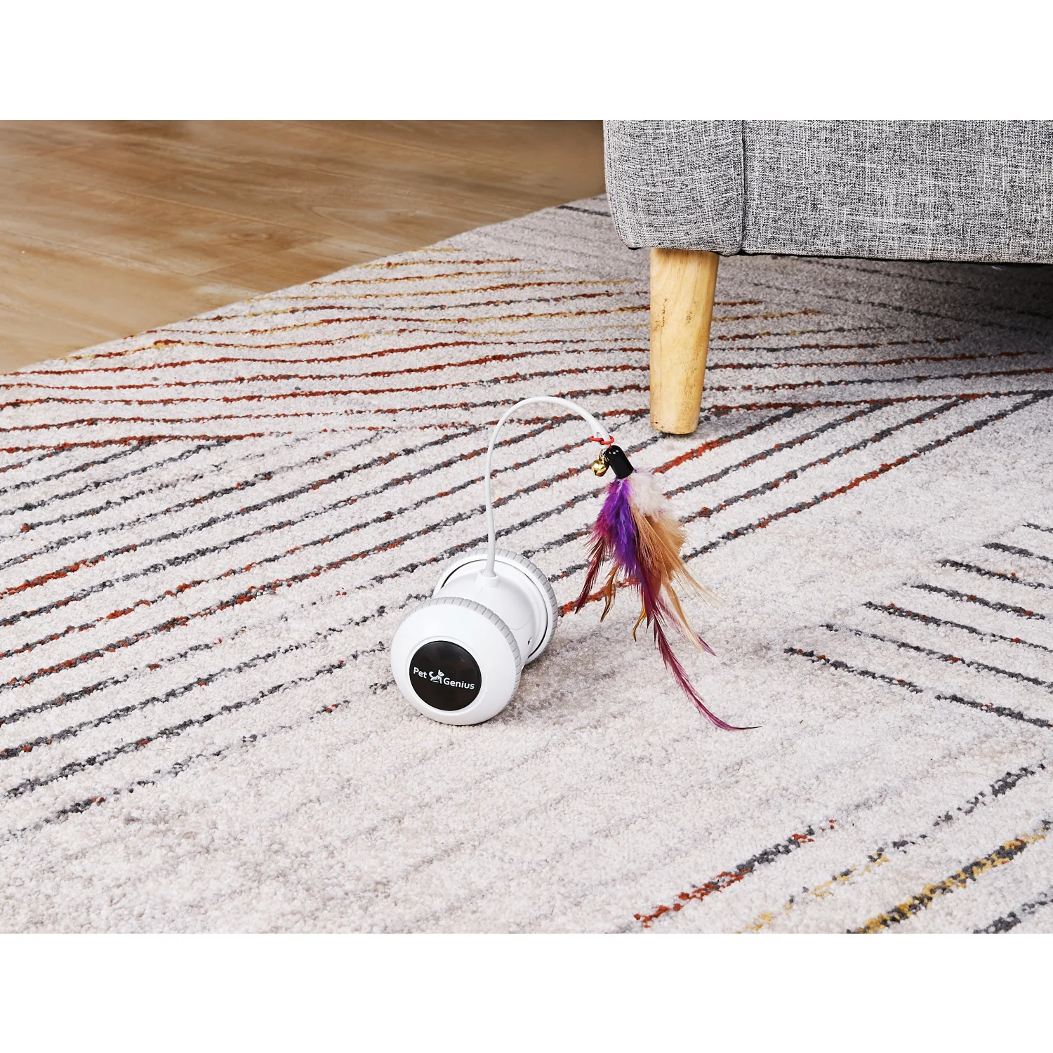 Pet Genius Smart Play Rover - Image 7